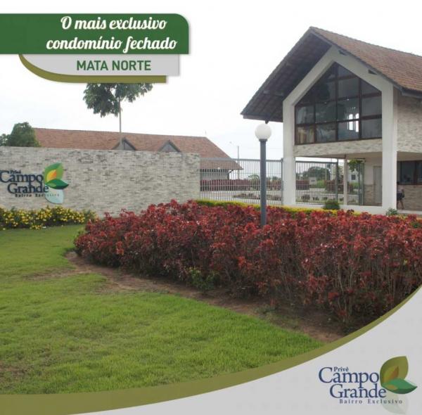 Limoeiro privê campo grande